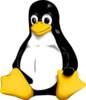 Penguin Image